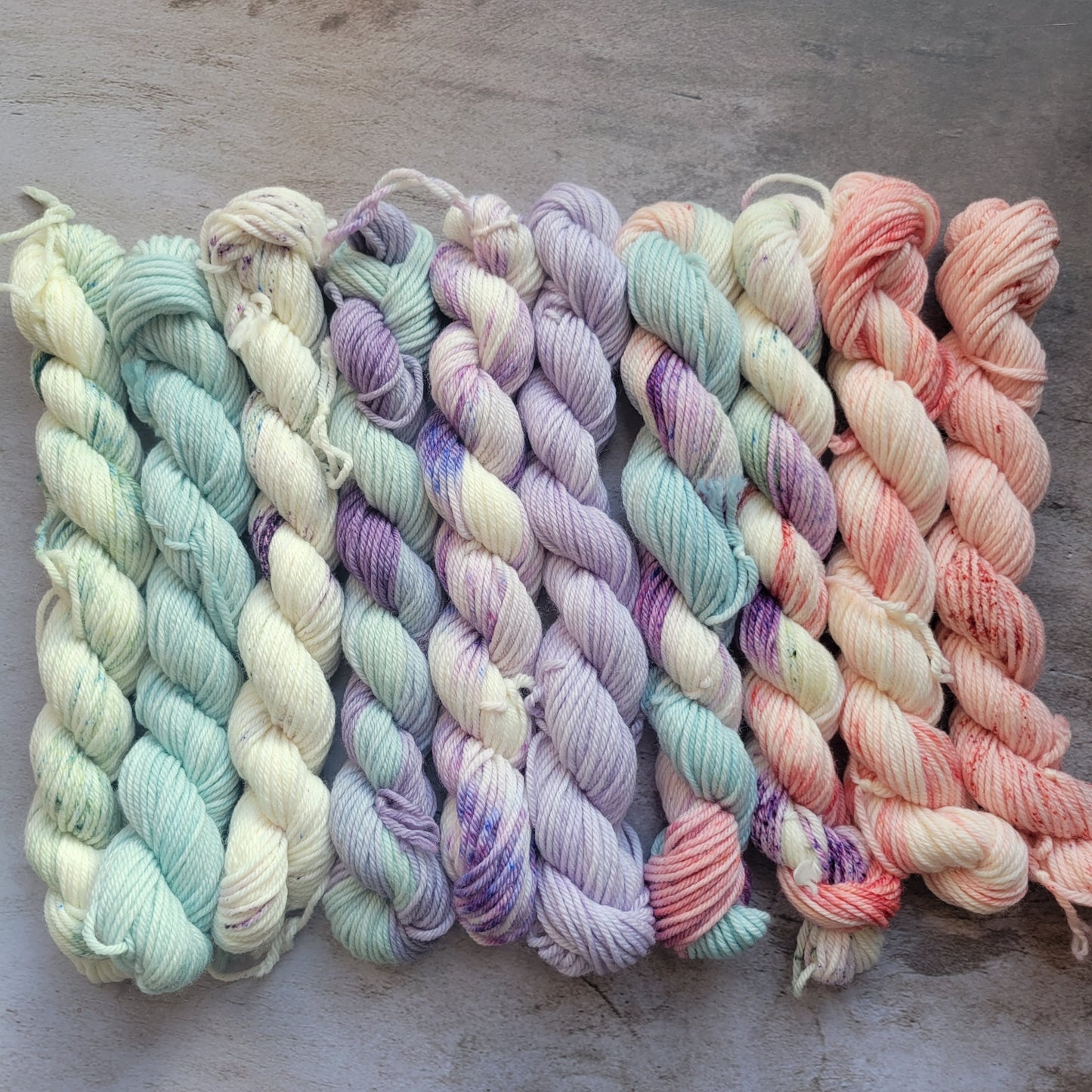 Succulents Mini Set of 10