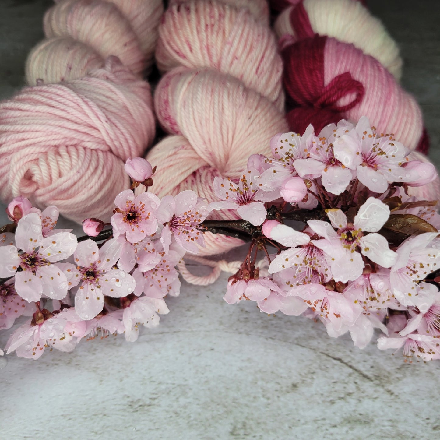 Hand Dyed Yarn in Cherry Blossom Set