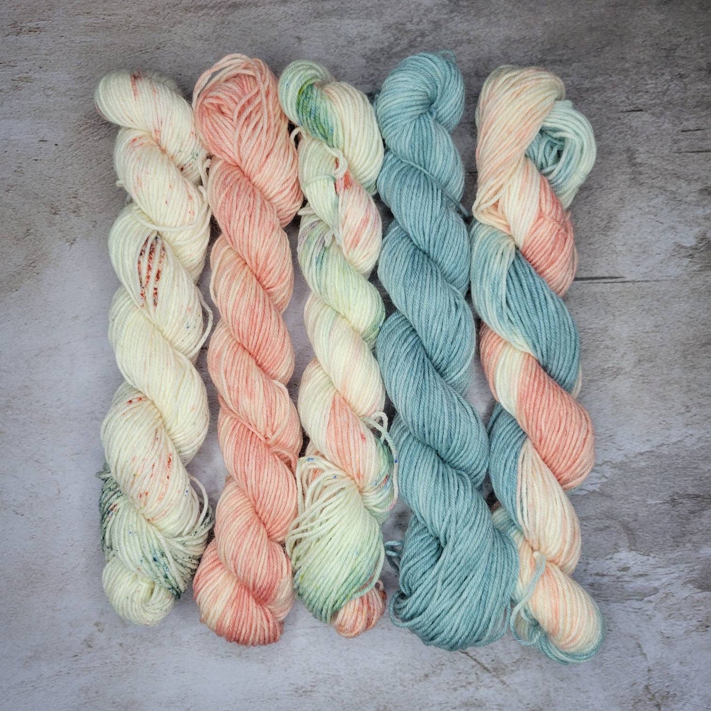 Salmon and Sage Hand Dyed Yarn Set of Five
