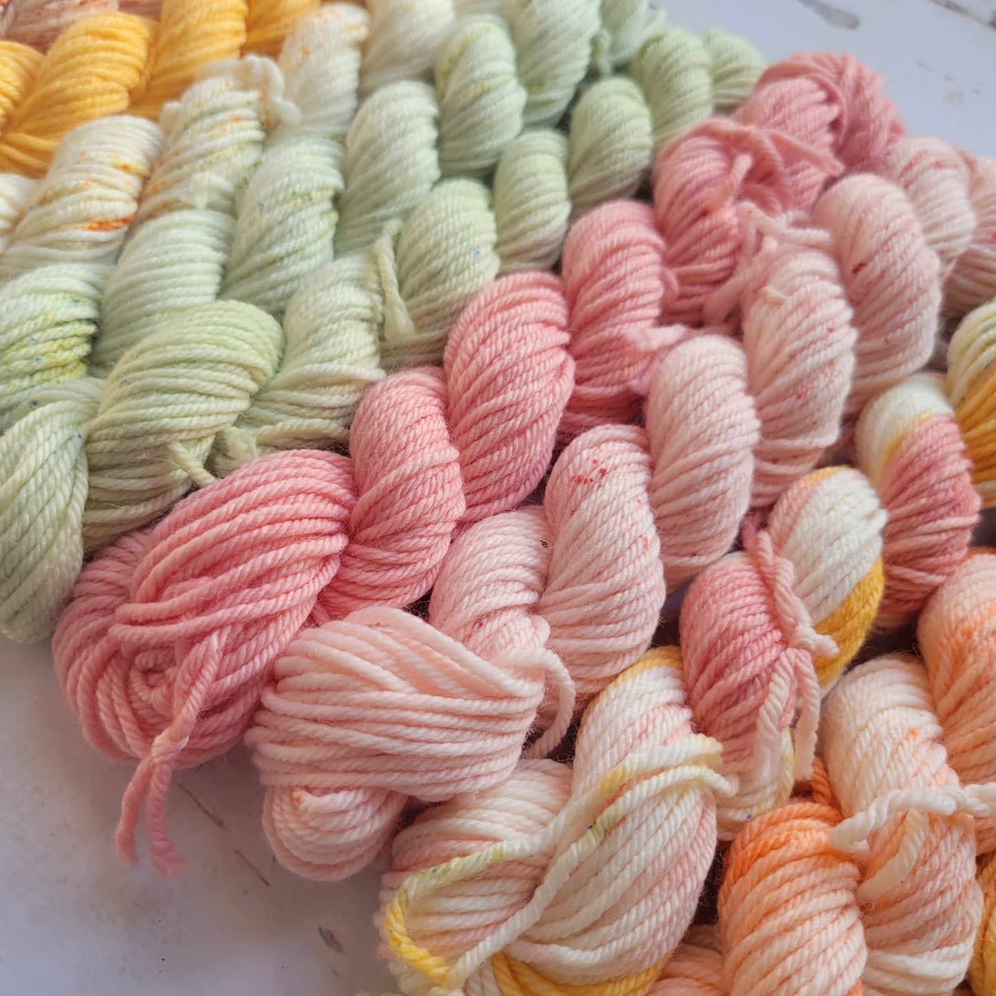 Ambrosia Mini Set of 10 Coordinating Colorways