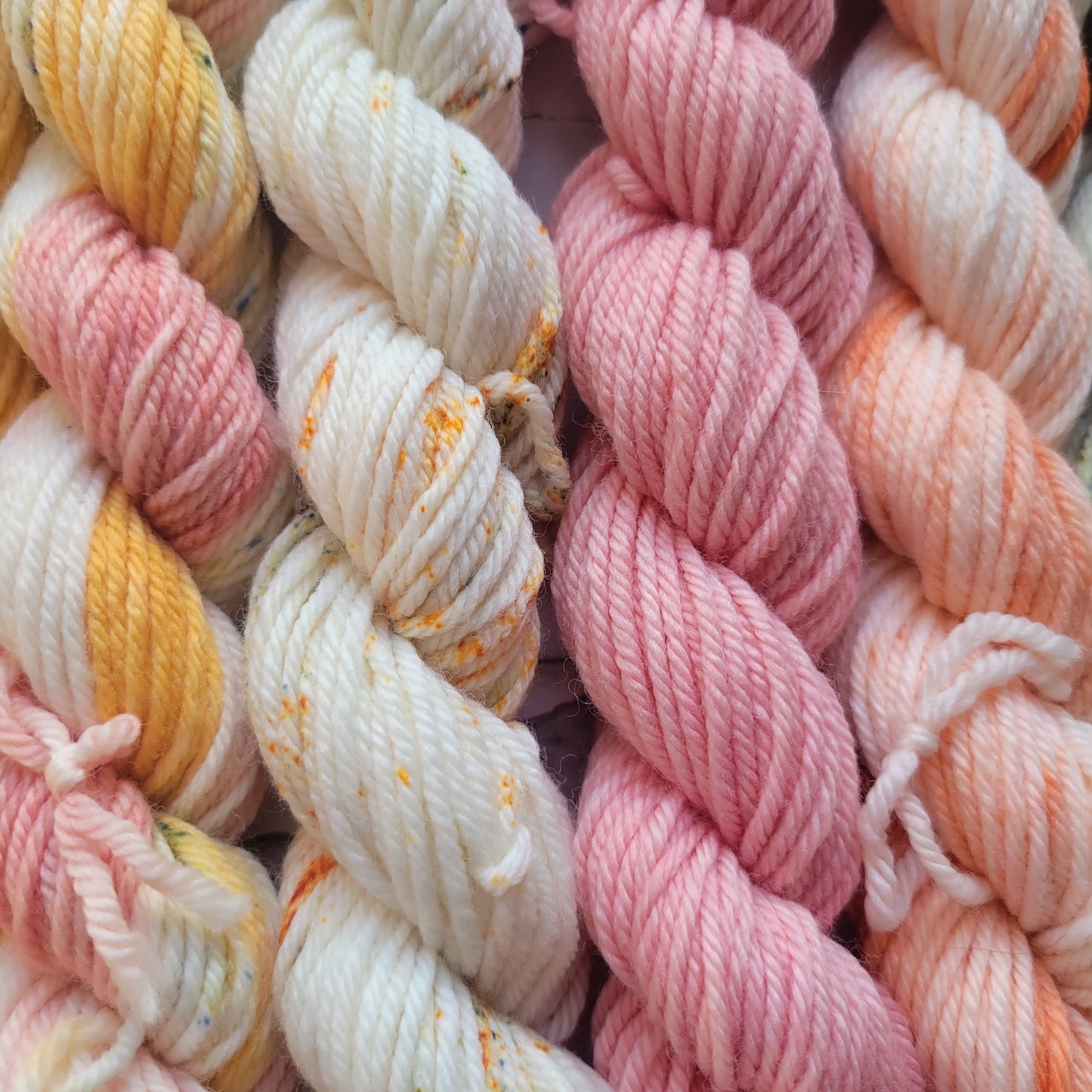 Ambrosia Mini Set of 10 Coordinating Colorways