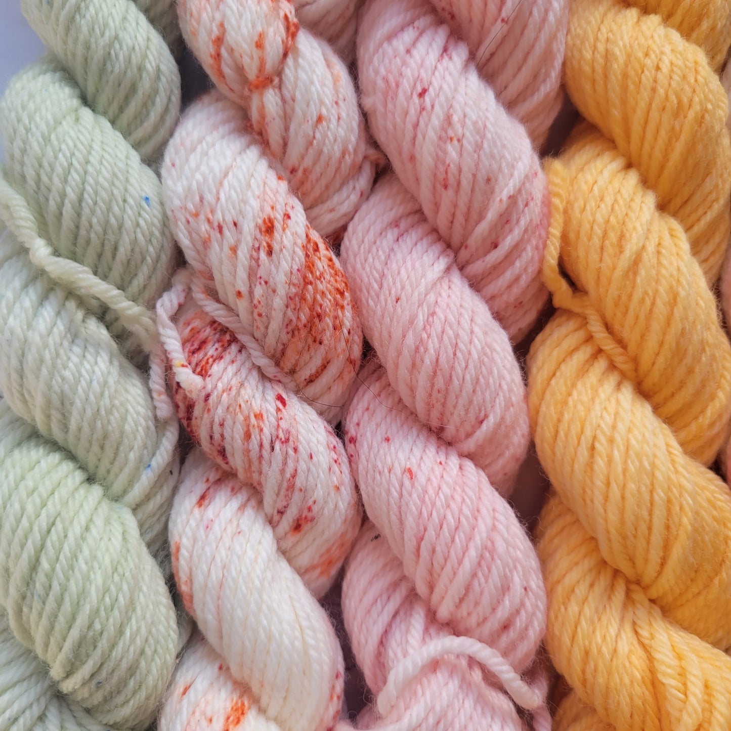 Ambrosia Mini Set of 10 Coordinating Colorways