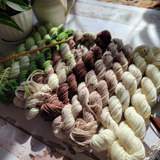 Irish Coffee Mini Yarn Fade Set of 10 Coordinating Colors