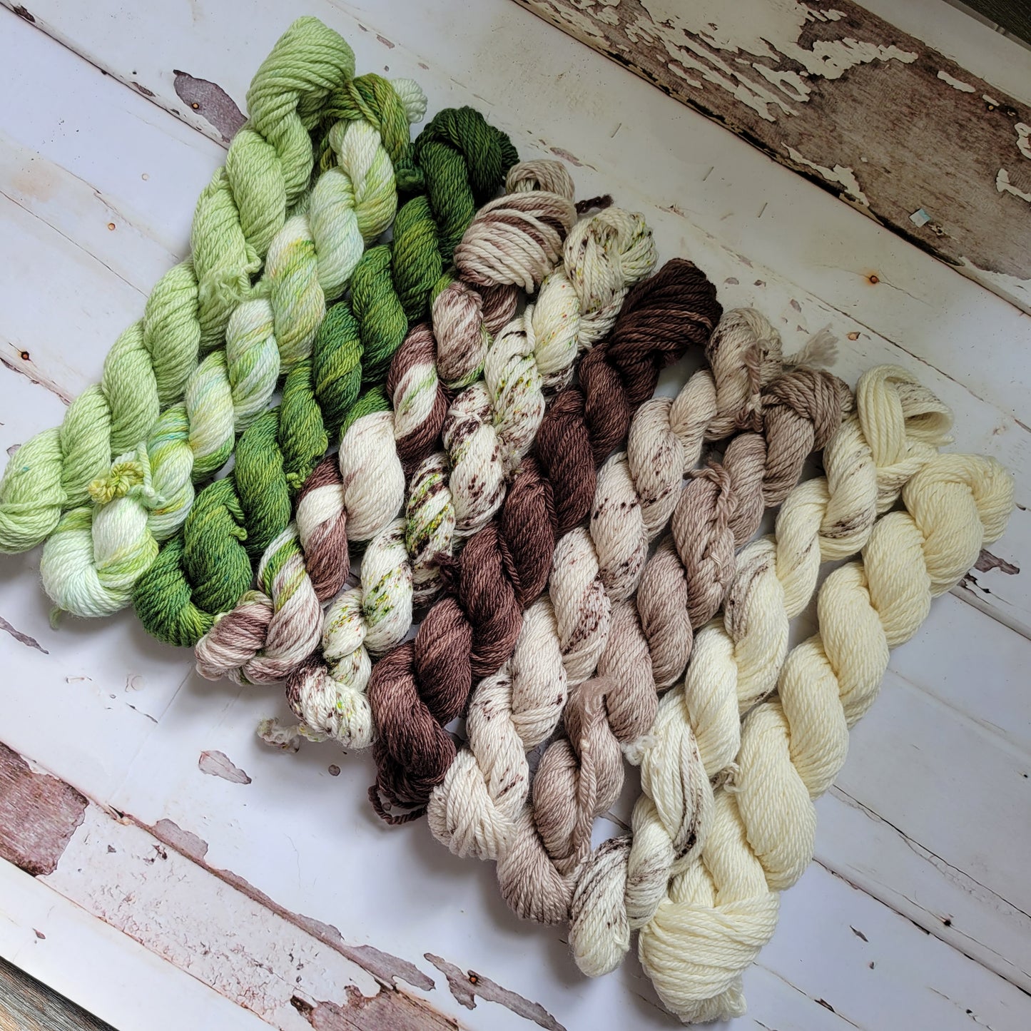 Irish Coffee Mini Yarn Fade Set of 10 Coordinating Colors