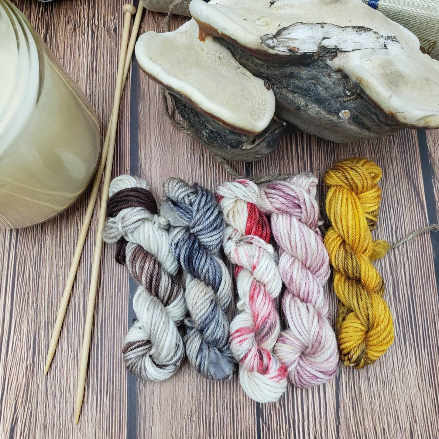 Wild Mushrooms Hand Dyed Yarn Set of Five