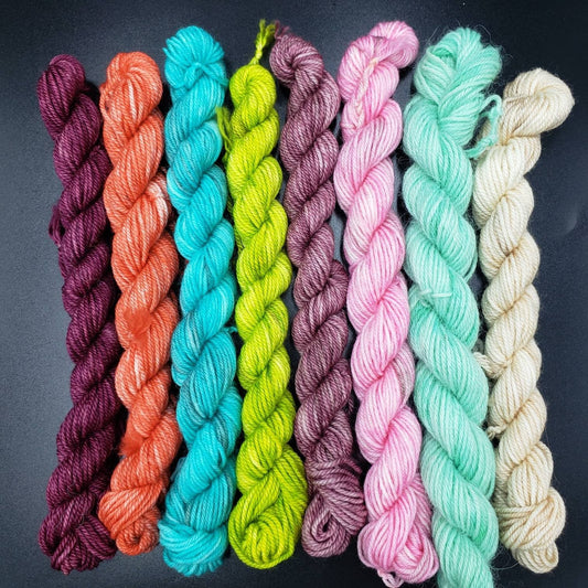 Marie Antoinette Hand Dyed Yarn Set of Eight