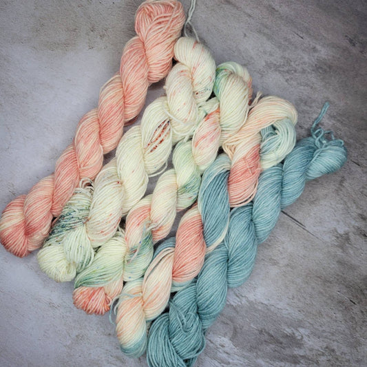 Salmon and Sage Hand Dyed Yarn Set of Five